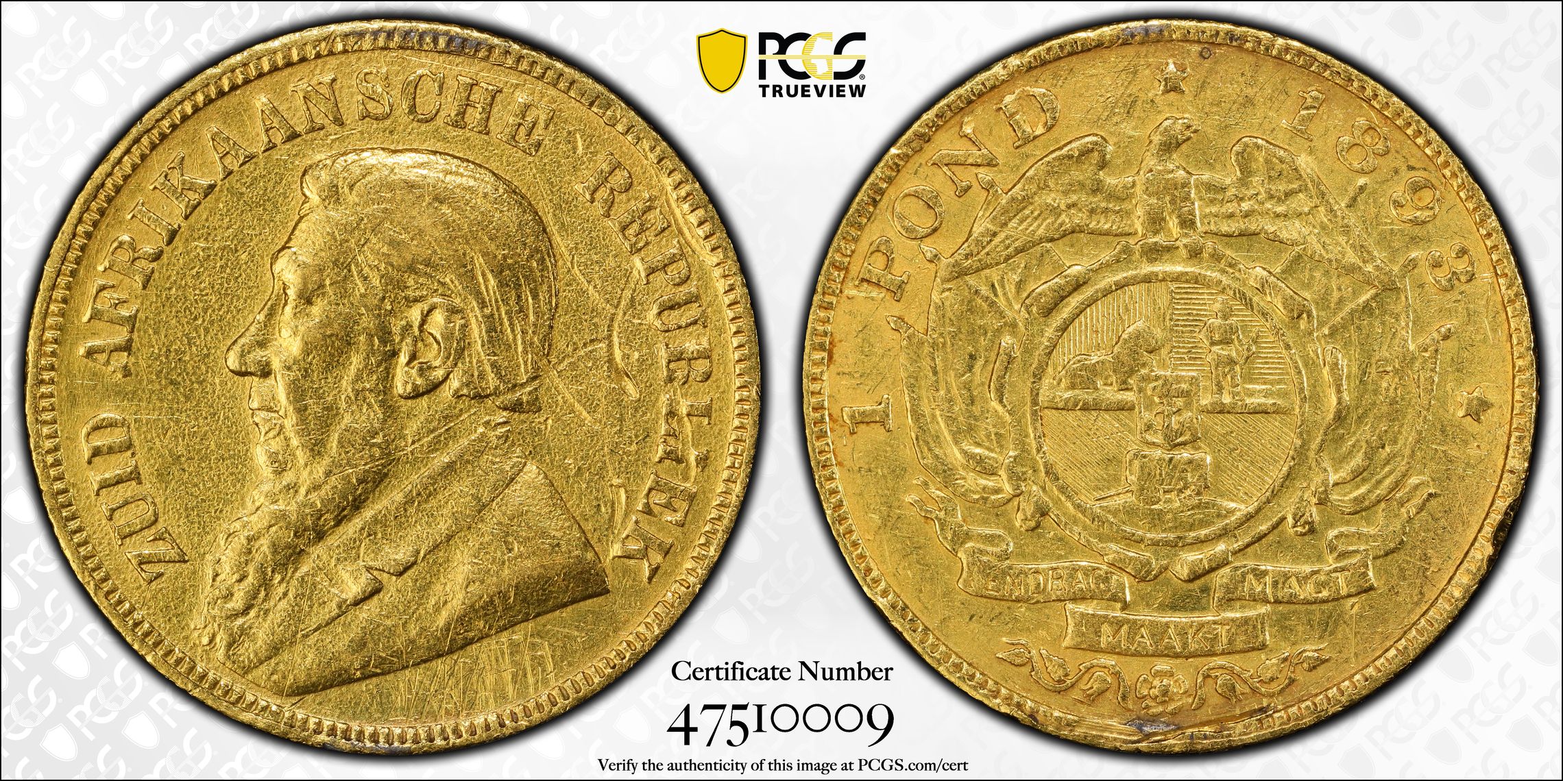South Africa, Kruger, One Pond, 1893, PCGS Genuine - XF Details (92 - Cleaned)