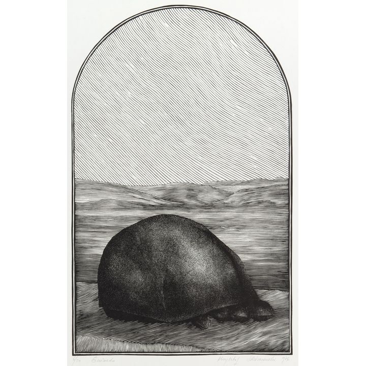 Krzysztof Skórczewski | Gniazdo, 1976