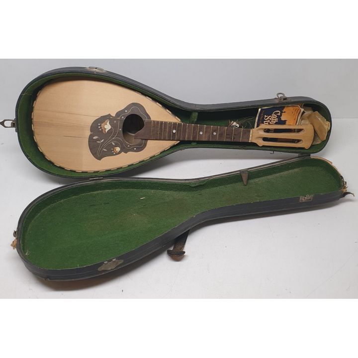 Cased Mandolin (Attention Seeker)