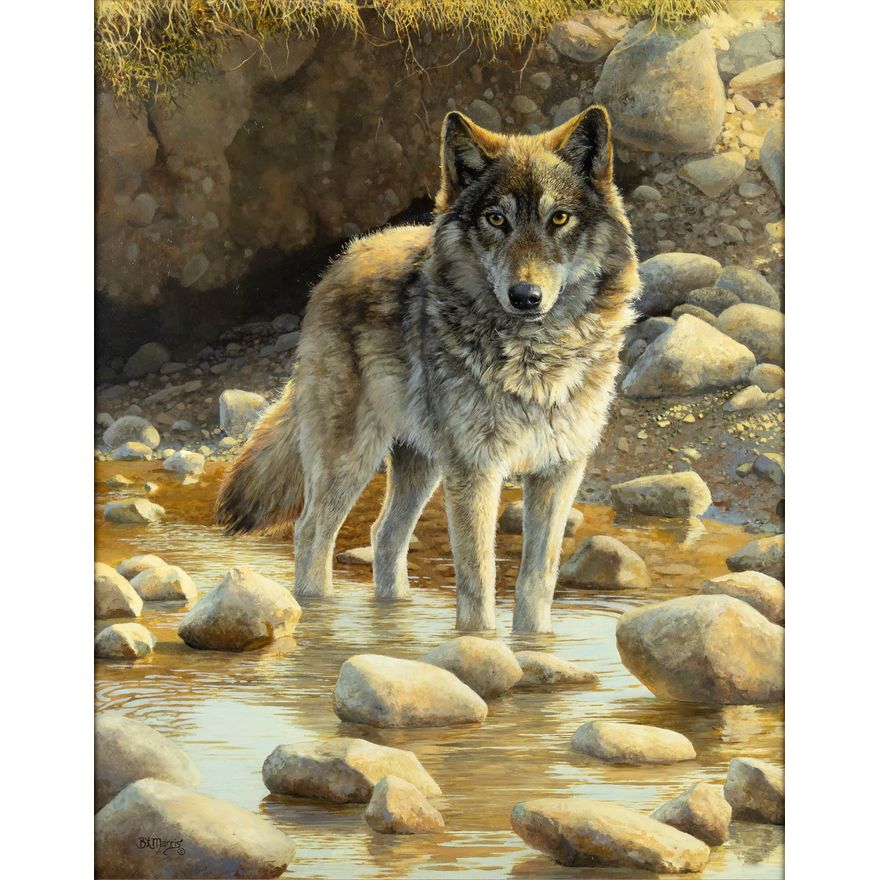 Bonnie Marris (1951- ), Golden-Eyed Gaze