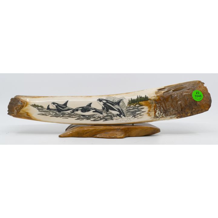 Catherine Young Scrimshawed Killer Whale Tusk Fragment on Stand 13.5''