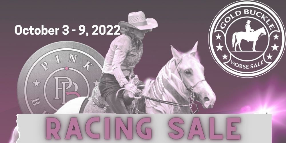 Pink Buckle Online Racing Sale Open Gold Buckle Horse Sale LLC