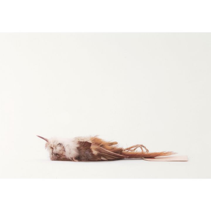 John Pusateri 'Untitled'