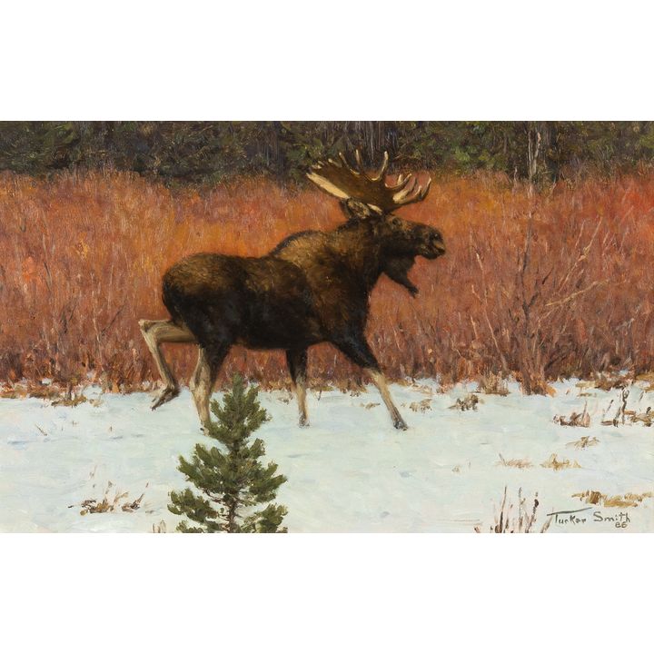 Tucker Smith (1940- ), Moose & Red Willows