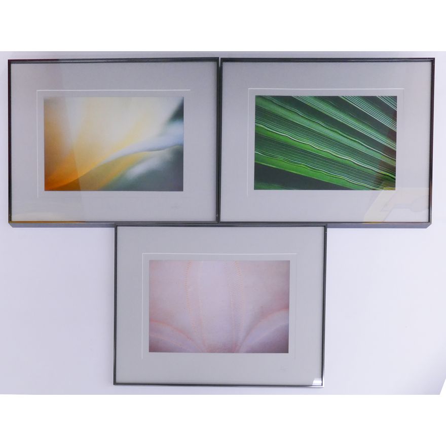 3pc Jim Laser (WA) Signed Framed Photographs