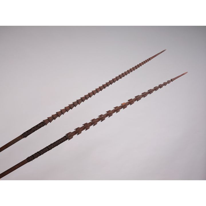 Two very large Pacific Island spears