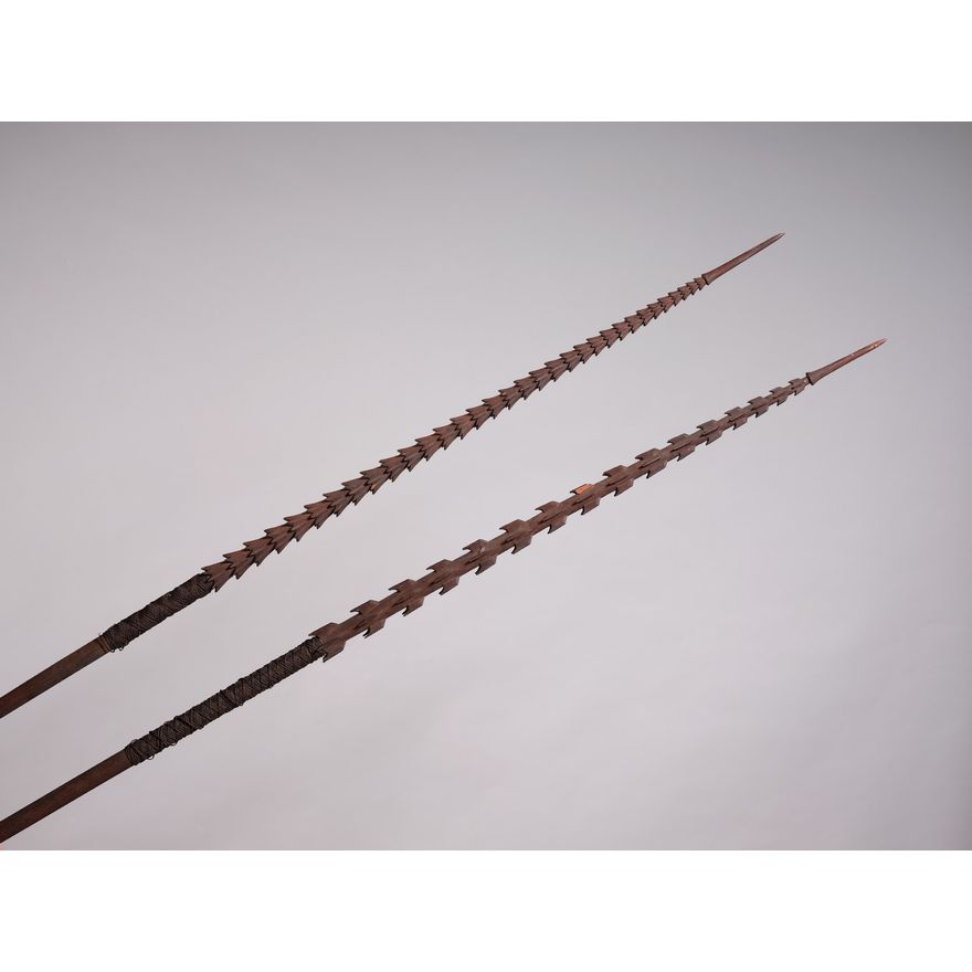Two very large Pacific Island spears