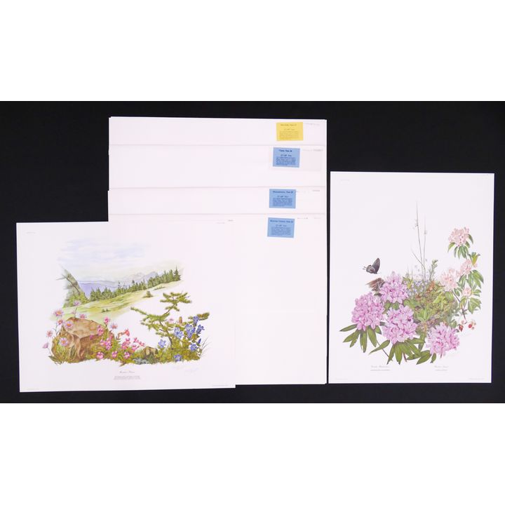 4pc Maryrose Wampler Signed Wildflowers Lithographs. All measure 22x28''. All loose and in original publisher envelopers