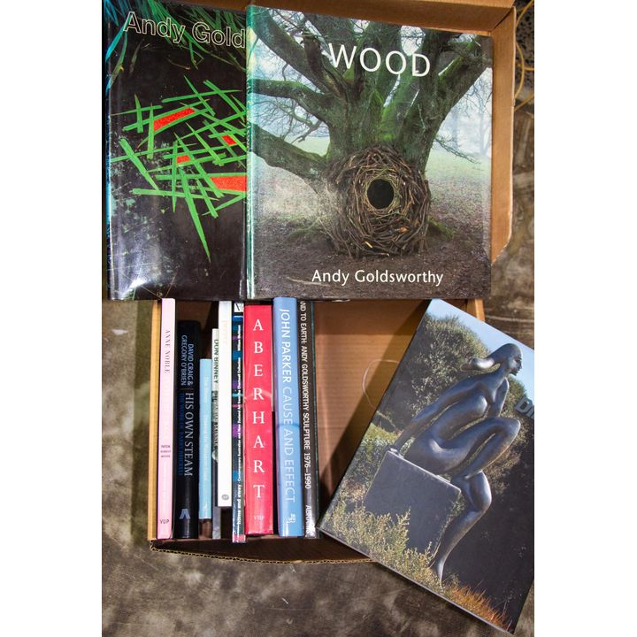 BOX OF ART BOOKS [13 titles]