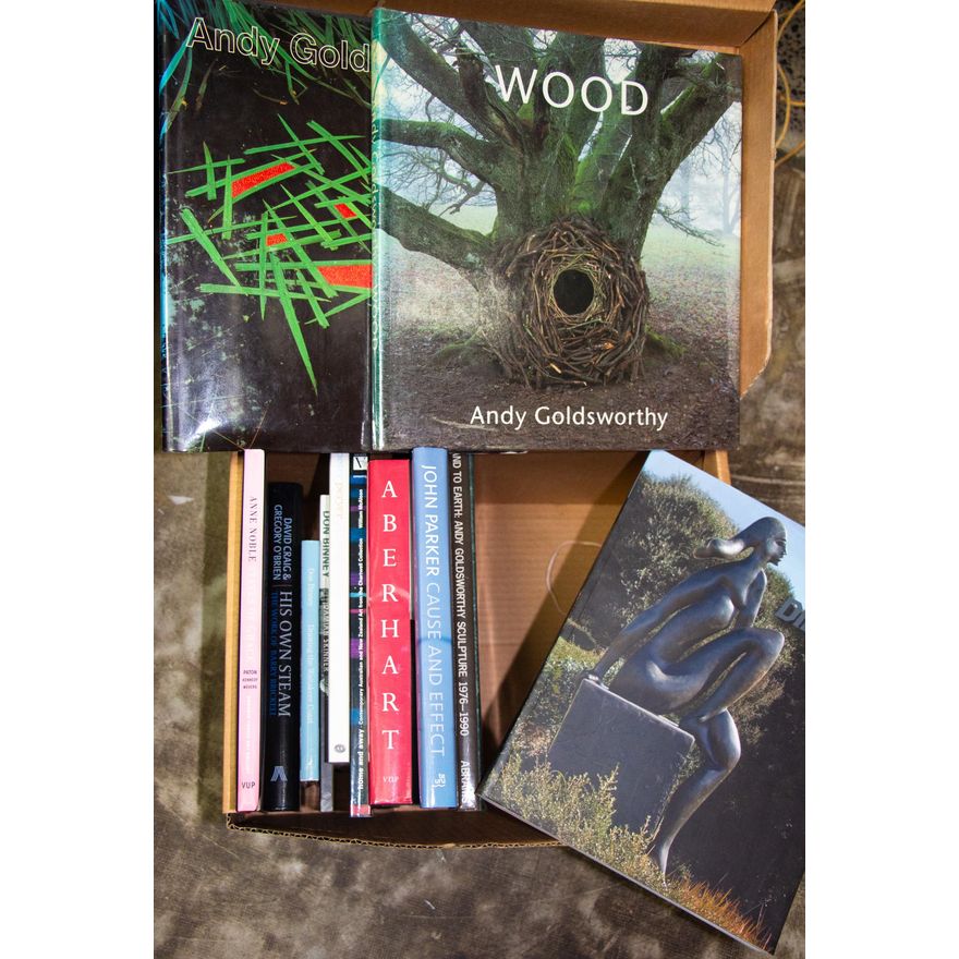BOX OF ART BOOKS [13 titles]