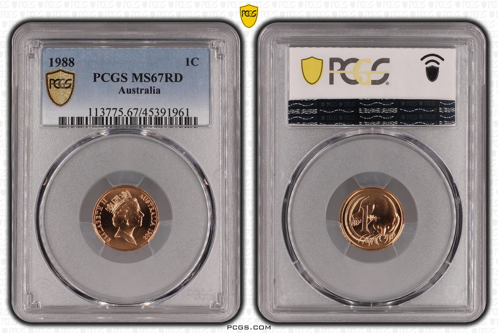 , One Cent, 1988, PCGS MS67RD