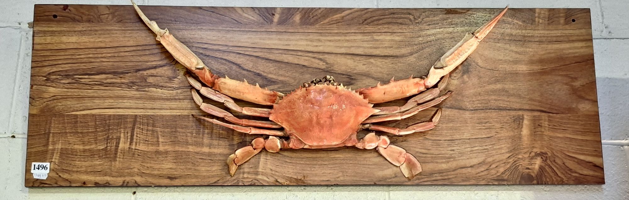 1496 · BLUE SWIMMER CRAB