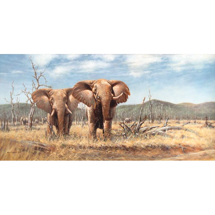 Two Bulls by Eric Forlee (1949- )