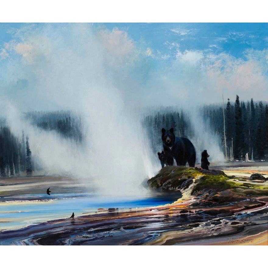 Michael Coleman (1946- ), Black Bears - Yellowstone
