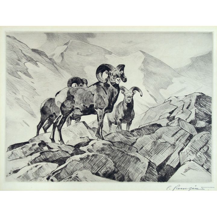 On the Skyline by Carl Rungius (1869-1959)