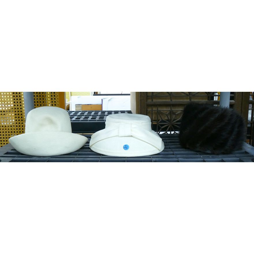 Shelf 3pc Women's Fashion Hats