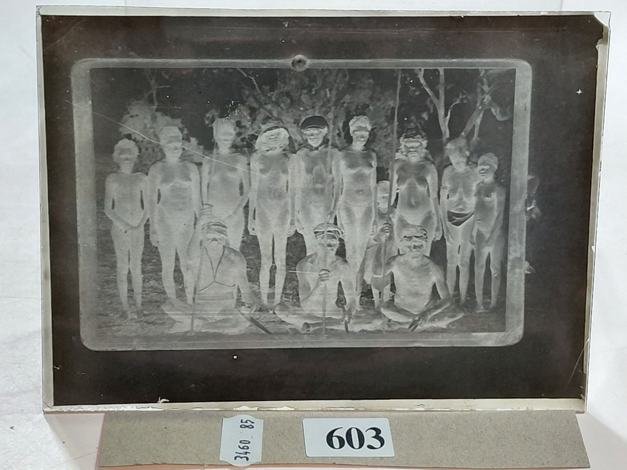 603 · GLASS NEGATIVES