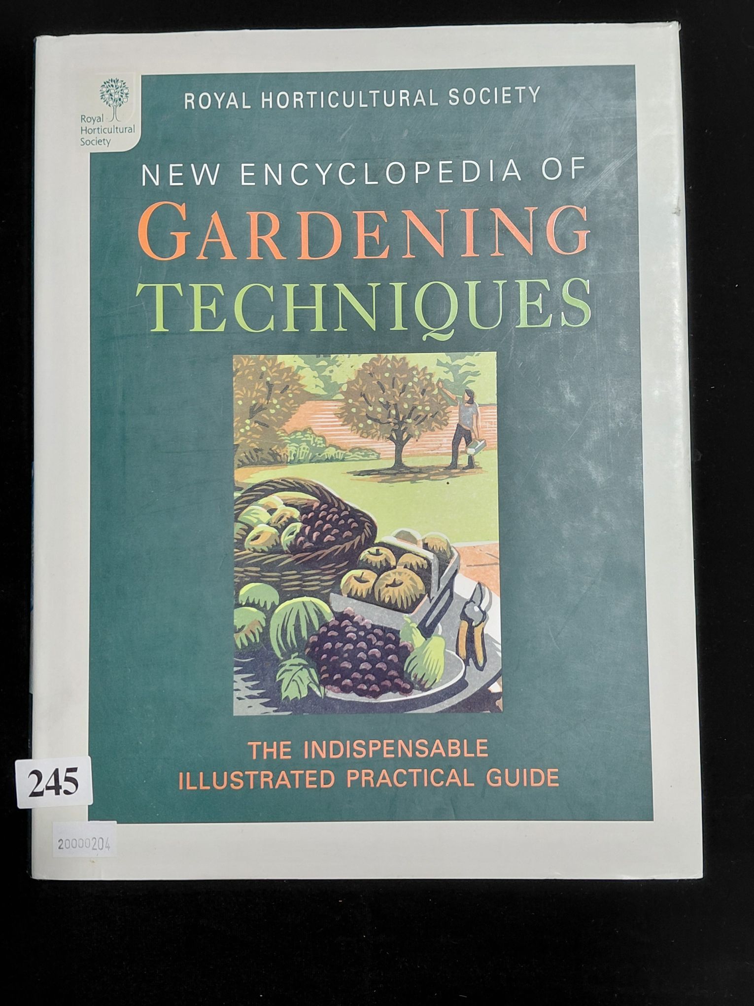 245 · RHS NEW ENCYCLOPEDIA