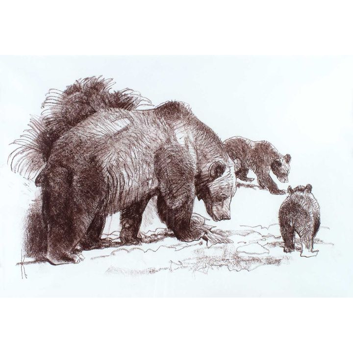 Untitled (Bears) by Bob Kuhn (1920-2007)