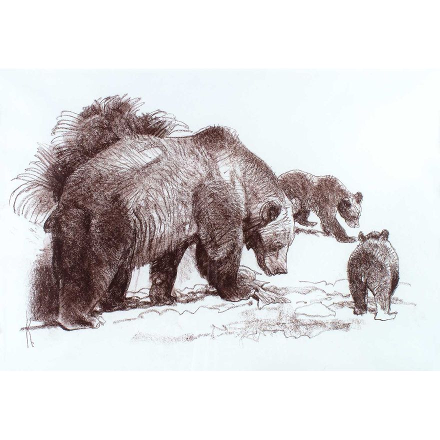 Untitled (Bears) by Bob Kuhn (1920-2007)