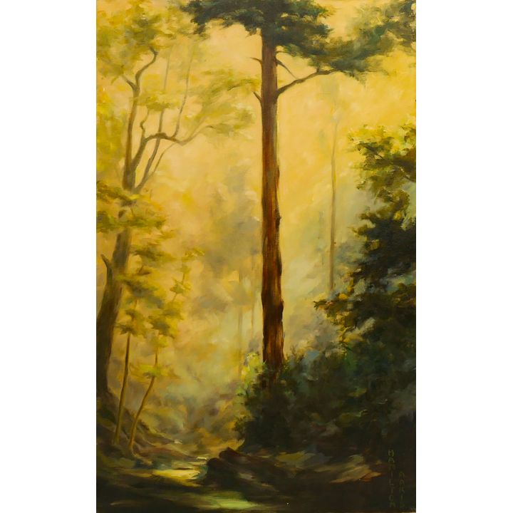 Hamilton Aaris ''Tree Shadows'' Oil on Canvas 32''x20''