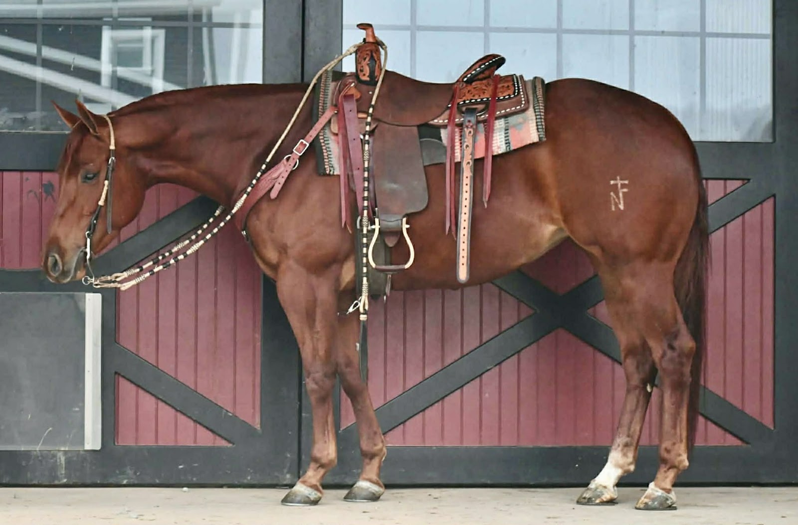Roy Besser リトグラフ　厩舎 ℳ𝒶𝓇𝒸𝒽 ♦️𝐑𝐈𝐃𝐄𝐑'𝐒 𝐂𝐇𝐎𝐈𝐂𝐄♦️ | Horse Bid, LLC