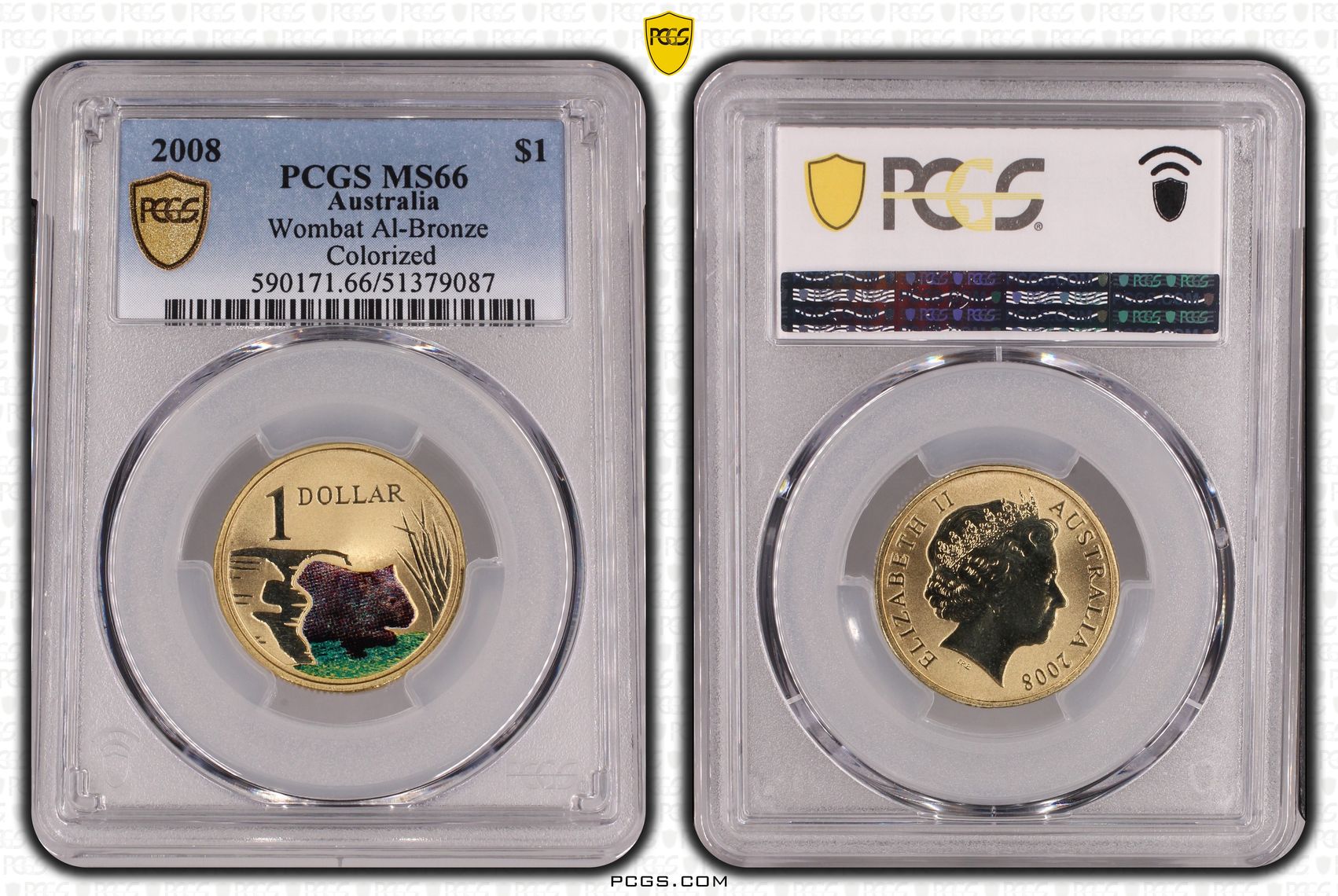 Wombat Al-Bronze, One Dollar, 2008, PCGS MS66