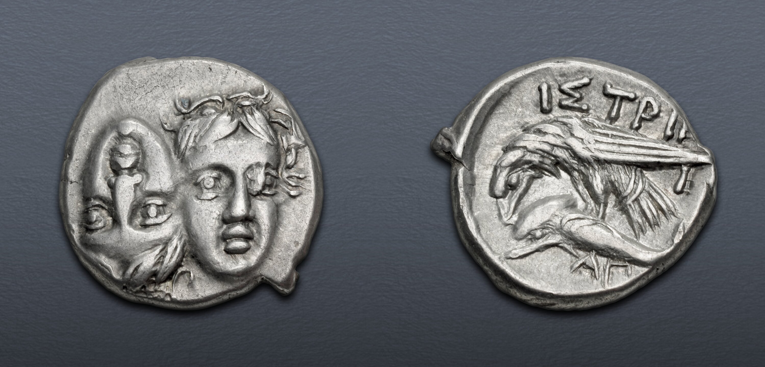 MOESIA, Istros. Circa 340/30-313 BC. AR Drachm (17.5mm, 5.72 g). Good ...
