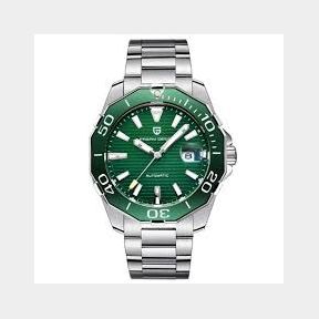 Pagani Design Men s Seagull Automatic Skeleton Sports Mechanical Watch Green / Silver | BATTERY FLAT