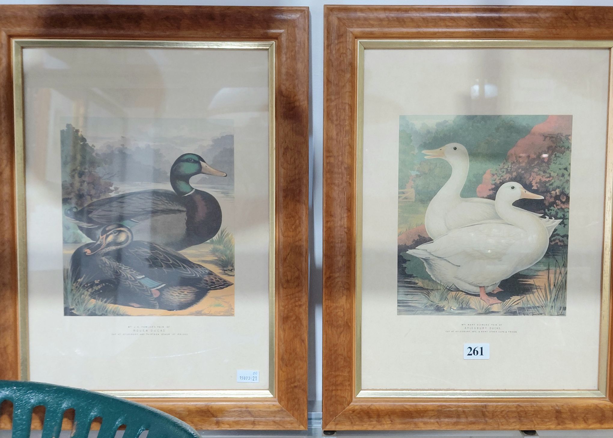 Two Framed Duck Prints
