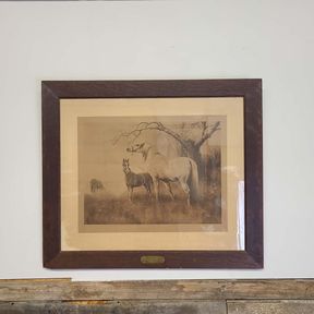 Very Old Framed Picture - HORSES - Second Prize 1913