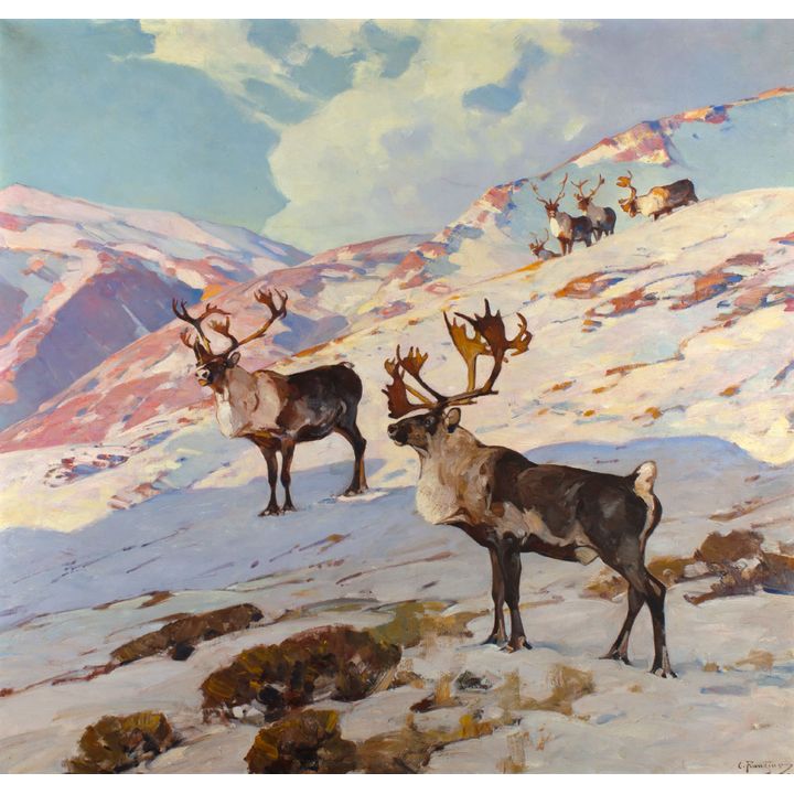 Carl Rungius (1869-1959), Caribou