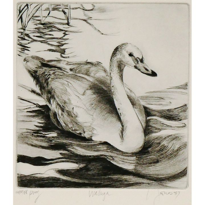 Liza Jones ''Waluga'' (Swan) S/N Etching 15''x11'' Sheet