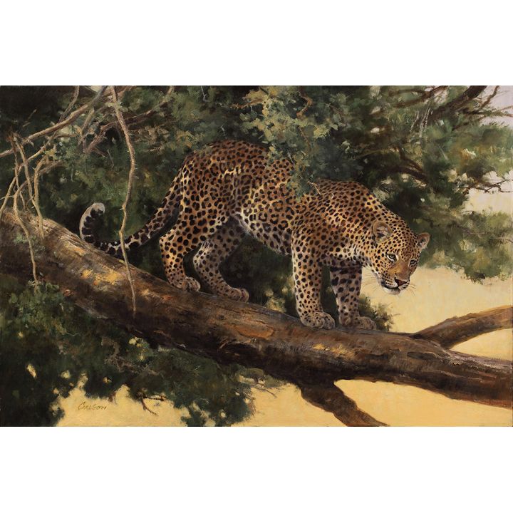 Ken Carlson (1937- ), Contemplating the Odds