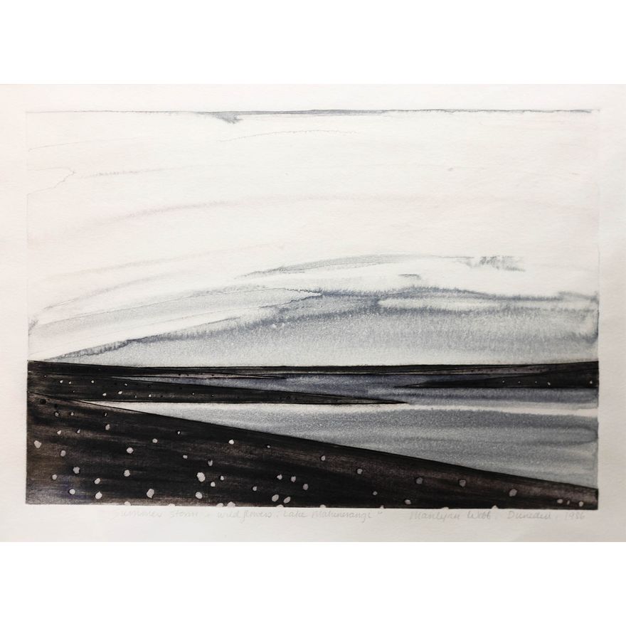 Marilynn Webb 'Summer storm & wild flowers, Lake Mahinerangi'