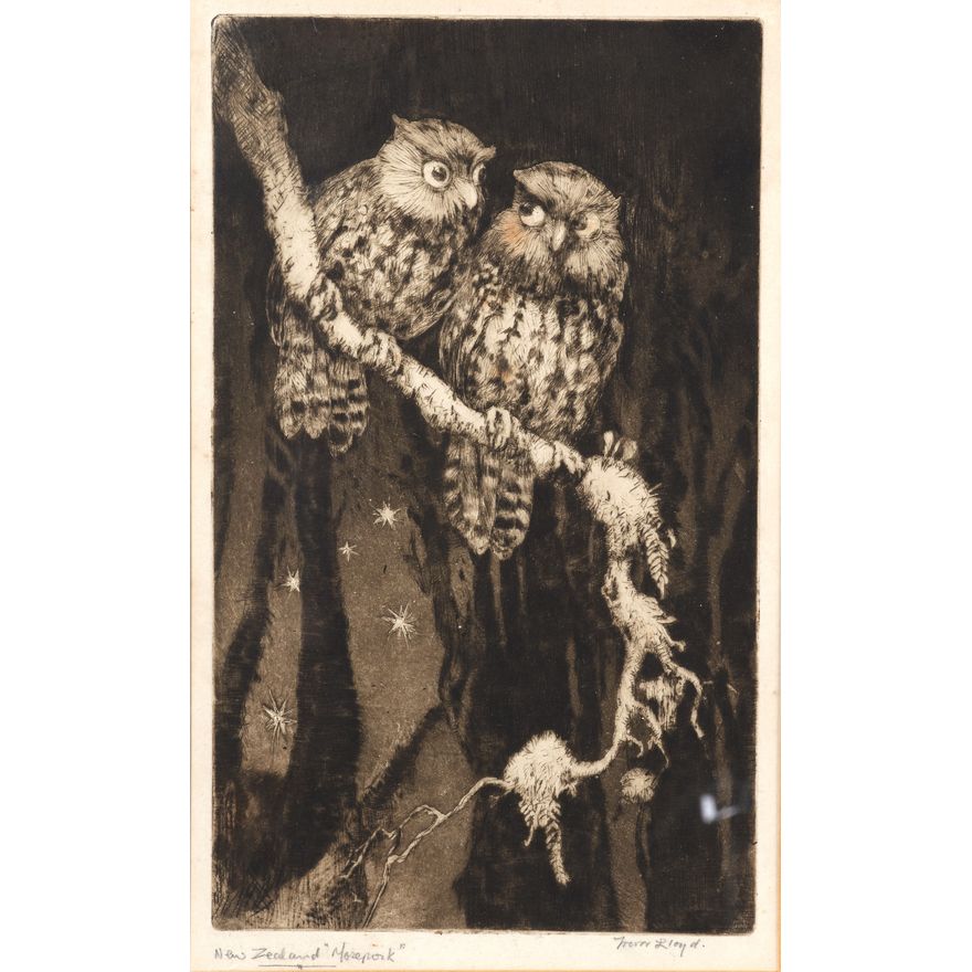Trevor Lloyd 'New Zealand Morepork'