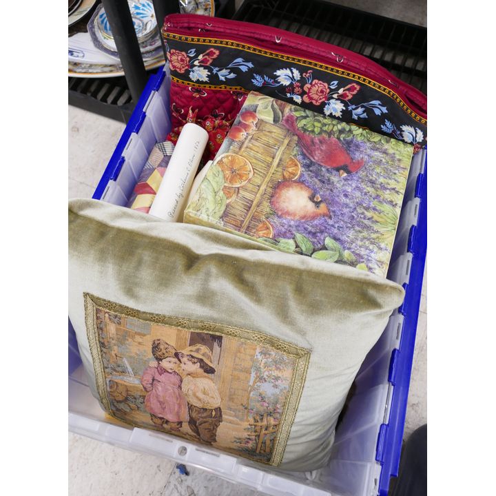 Tote Old Furs and Pillow