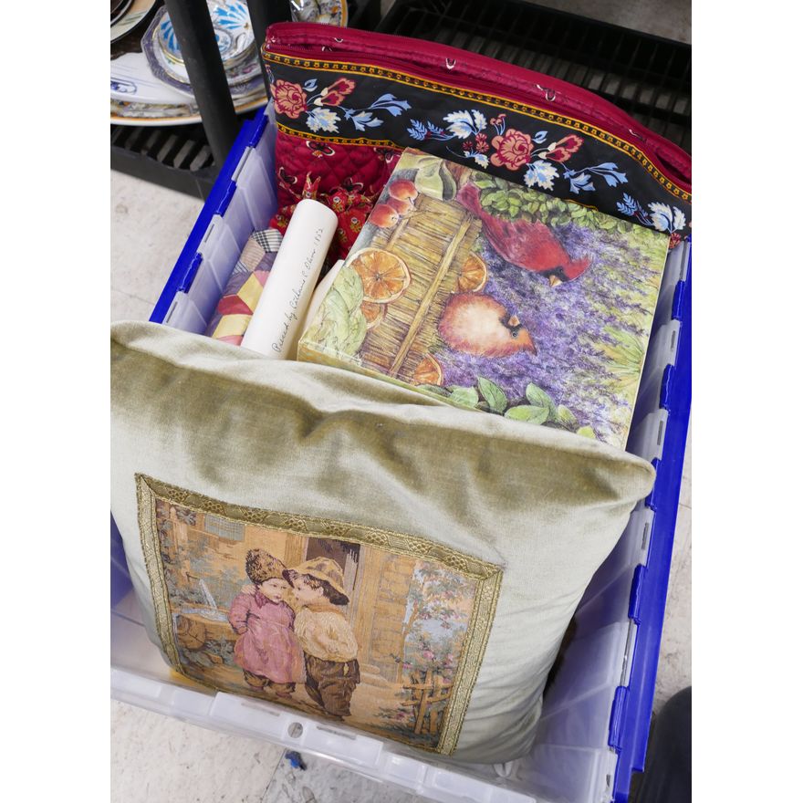 Tote Old Furs and Pillow