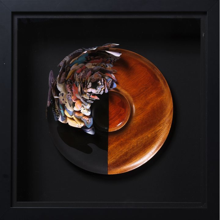 Peter Madden ‘Butterfly Round Mount’