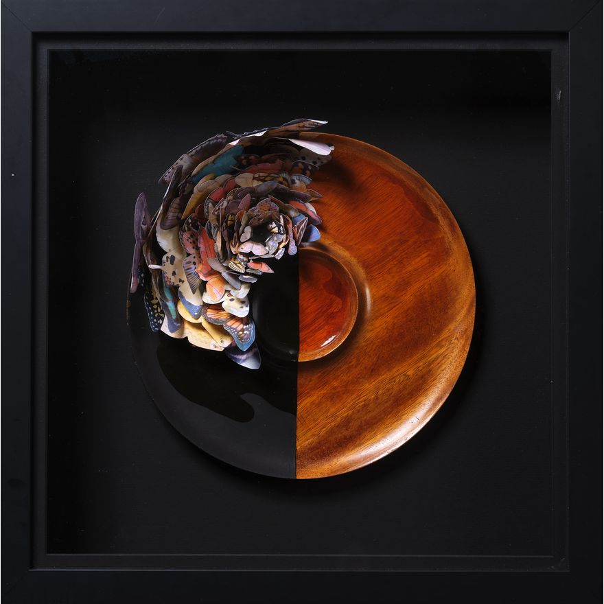 Peter Madden ‘Butterfly Round Mount’