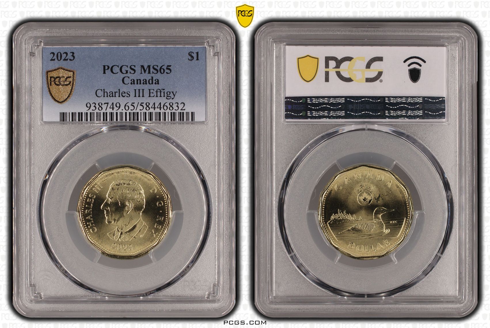 Canada, Charles III, Charles III Effigy, One Dollar, 2023, PCGS MS65