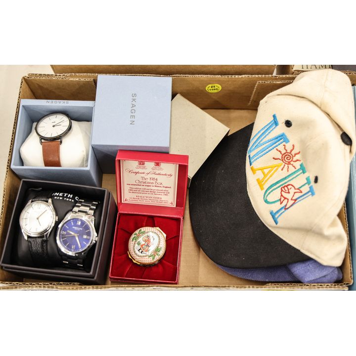 Box Skagen Wristwatch etc.