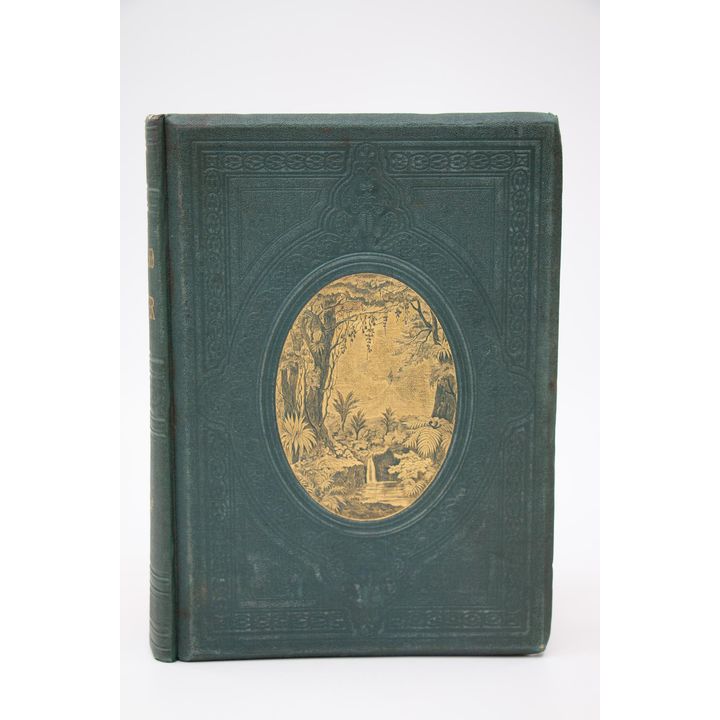 HOCHSTETTER, DR. FERDINAND VON - New Zealand; Its Physical Geography, Geology, and Natural History