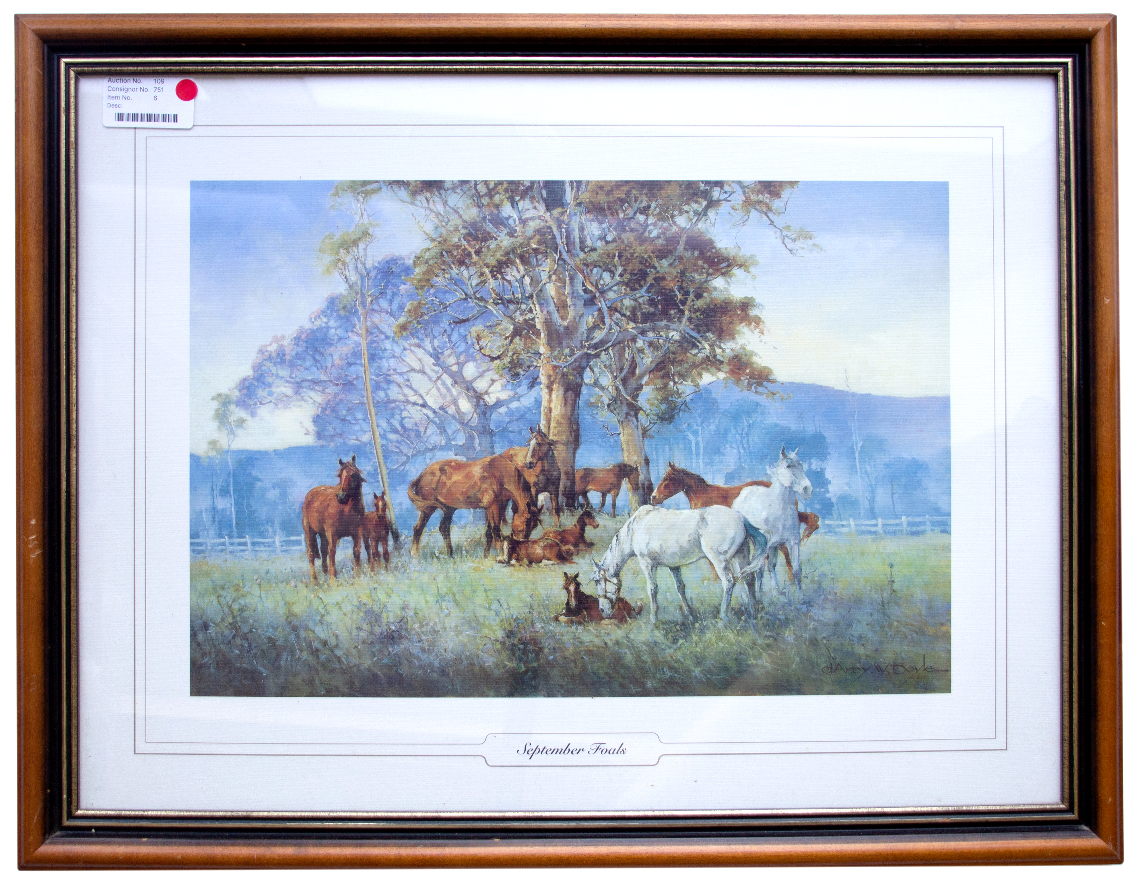 10 · D'Arcy Doyle Print,