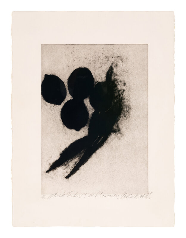 Donald Sultan
(American, b. 1951)
Black Tulips and Lemons, Nov 28, 1986, 1986
