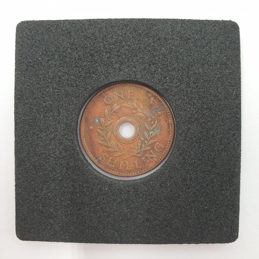 Shilling Internment Camp Coin