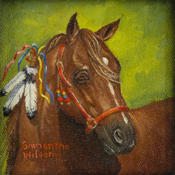 Samantha Wilson , Horse
