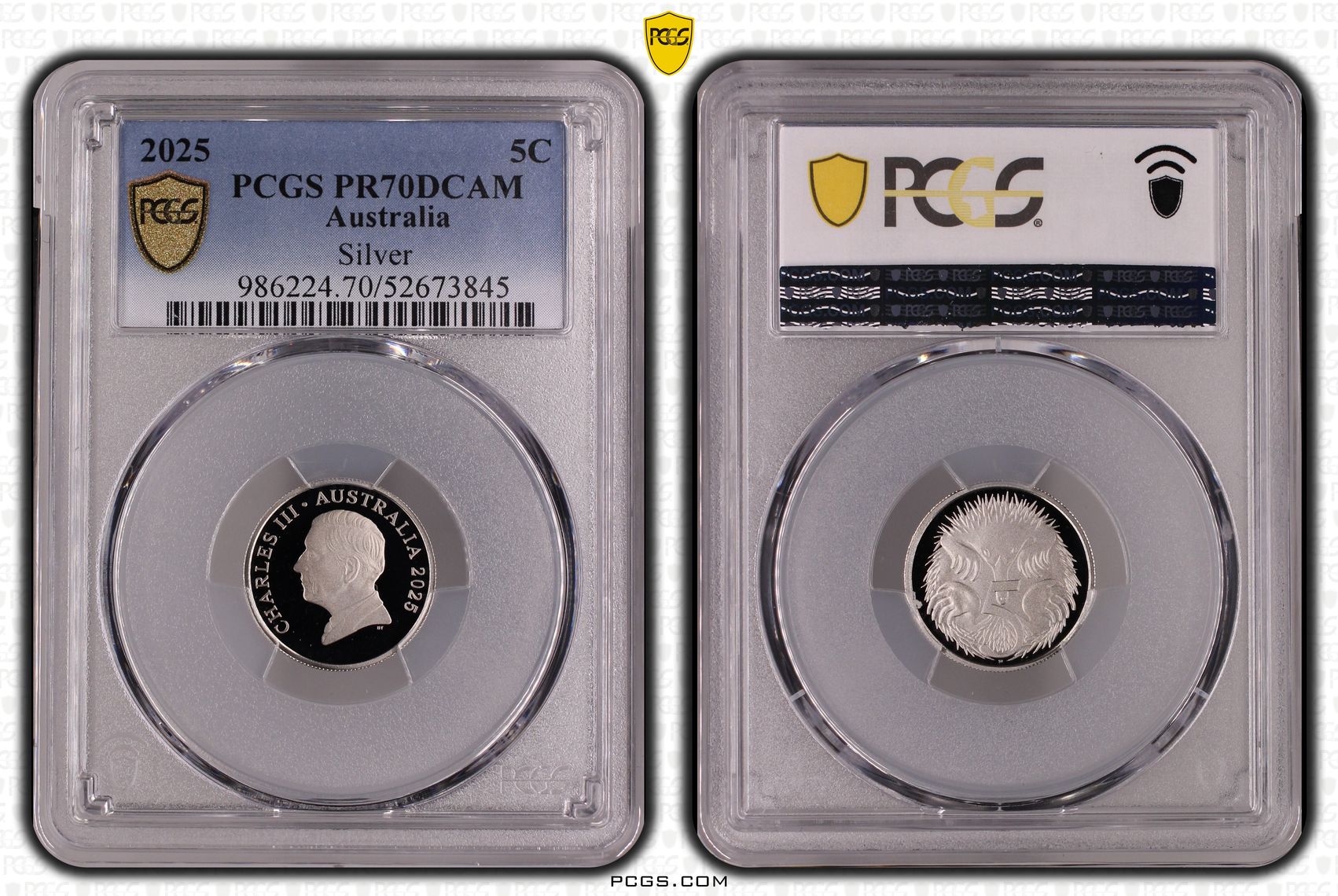 Silver, 17/0, Five Cent, 2025, PR70DCAM