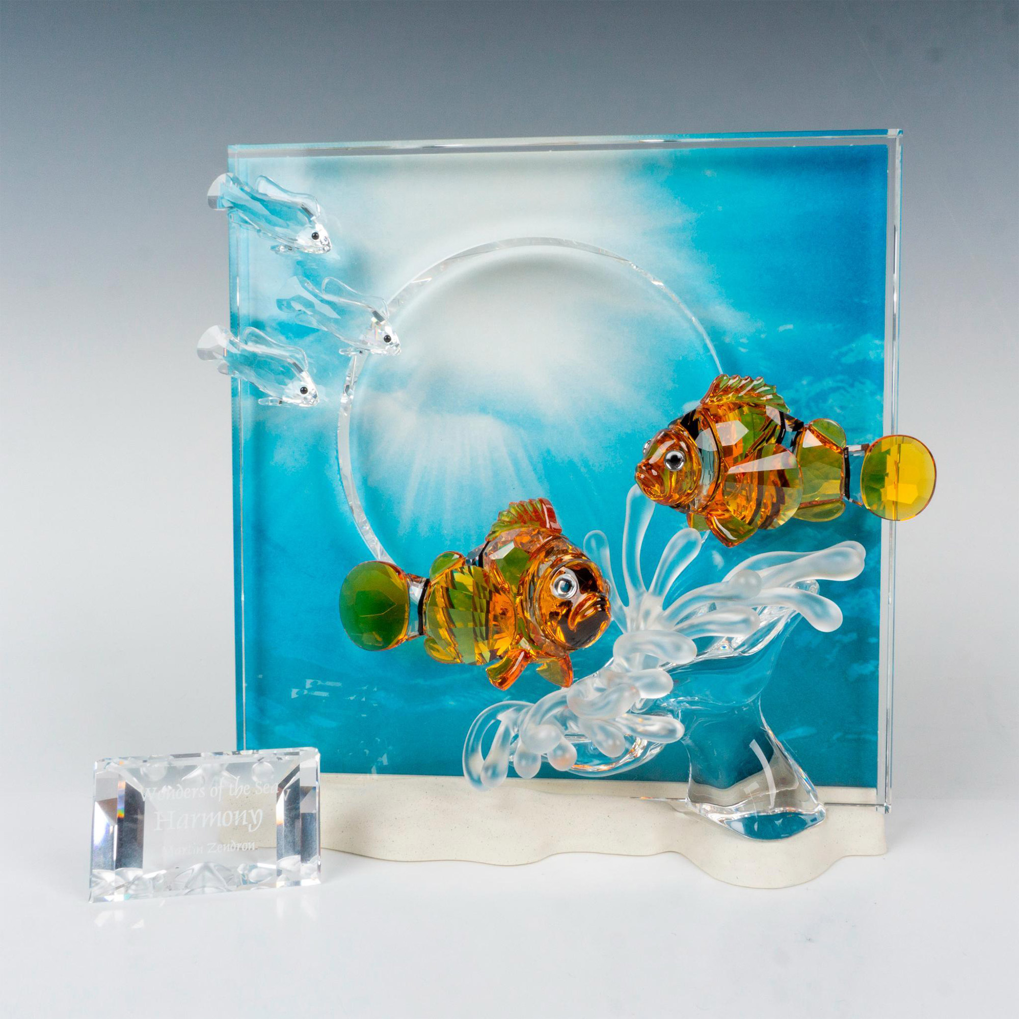 SWAROVSKI スワロフスキー Wonders of the sea Amazon.com: Swarovski Wonders of the Sea Community Colored