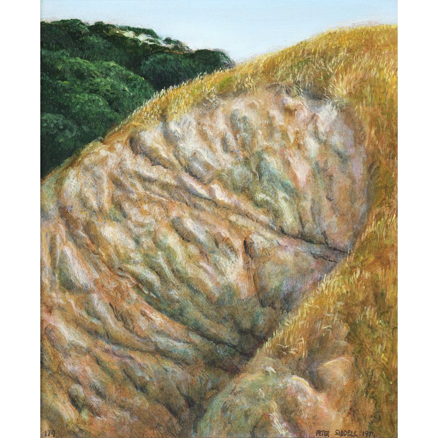 Peter Siddell 'Karekare Sandhill'